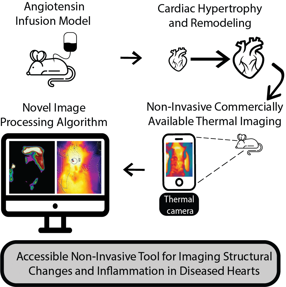 Visual Abstract